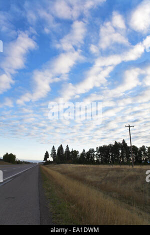 Straße zwischen Feldern Stockfoto