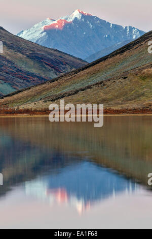 Alpenglühen leuchtet die Spitze des Berges spiegelt sich in einem abgelegenen alpinen Tundra-See in Alaska Range Mountains Stockfoto