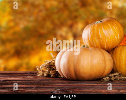 Konzept der Halloween Kürbisse auf Holzbohlen mit Hintergrund verschwimmen. Stockfoto