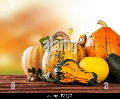 Konzept der Halloween Kürbisse auf Holzbohlen mit Hintergrund verschwimmen. Stockfoto