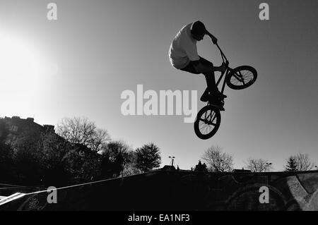 Glasgow, Scotlan, UK. 5. November 2014. BMX-Fahrer nutzt die Herbstsonne wie er Stunts im Kelvingrove Park Credit zieht: Tony Clerkson/Alamy Live News Stockfoto