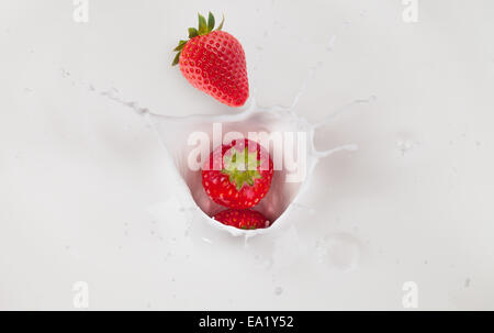 Frische Erdbeeren in Milch spritzt Stockfoto