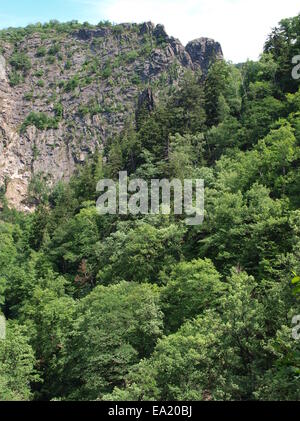 Blick vom Hexenstieg-Wanderweg im Harz Stockfoto