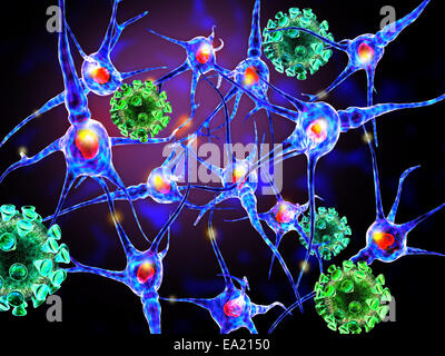 3D Darstellung der Viren, die Nervenzellen angreifen Stockfoto