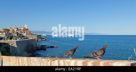 alte Stadt, Antibes, Côte ´ Azur, Frankreich Stockfoto