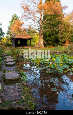 Herbst in Newstead Abbey in Nottinghamshire, England UK Stockfoto