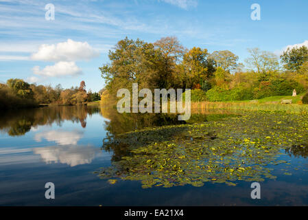 Herbst in Newstead Abbey in Nottinghamshire, England UK Stockfoto