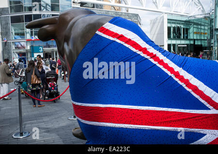 Fotografieren Sie mit Birmingham Bull im Union Jack-Flagge Stockfoto