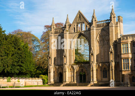 Herbst in Newstead Abbey in Nottinghamshire, England UK Stockfoto