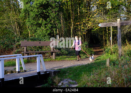 Cromford Canal, Derbyshire, UK. 5. November 2014. Hellen Chili Herbstwetter für Hund Spaziergänger und Wanderer gleichermaßen, entlang des Kanals Cromford. Bildnachweis: IFIMAGE/Alamy Live-Nachrichten Stockfoto