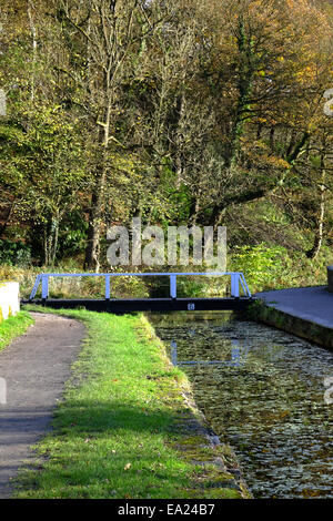 Cromford Canal, Derbyshire, UK. 5. November 2014. Hellen Chili Herbstwetter für Hund Spaziergänger und Wanderer gleichermaßen, entlang des Kanals Cromford. Bildnachweis: IFIMAGE/Alamy Live-Nachrichten Stockfoto