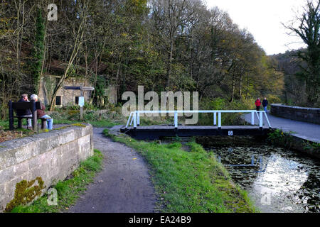 Cromford Canal, Derbyshire, UK. 5. November 2014. Hellen Chili Herbstwetter für Hund Spaziergänger und Wanderer gleichermaßen, entlang des Kanals Cromford. Bildnachweis: IFIMAGE/Alamy Live-Nachrichten Stockfoto