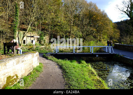 Cromford Canal, Derbyshire, UK. 5. November 2014. Hellen Chili Herbstwetter für Hund Spaziergänger und Wanderer gleichermaßen, entlang des Kanals Cromford. Bildnachweis: IFIMAGE/Alamy Live-Nachrichten Stockfoto