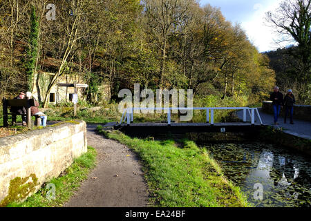 Cromford Canal, Derbyshire, UK. 5. November 2014. Hellen Chili Herbstwetter für Hund Spaziergänger und Wanderer gleichermaßen, entlang des Kanals Cromford. Bildnachweis: IFIMAGE/Alamy Live-Nachrichten Stockfoto