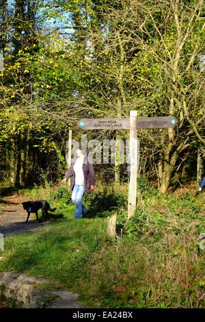 Cromford Canal, Derbyshire, UK. 5. November 2014. Hellen Chili Herbstwetter für Hund Spaziergänger und Wanderer gleichermaßen, entlang des Kanals Cromford. Bildnachweis: IFIMAGE/Alamy Live-Nachrichten Stockfoto