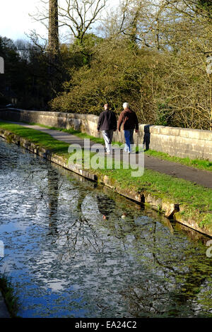 Cromford Canal, Derbyshire, UK. 5. November 2014. Hellen Chili Herbstwetter für Hund Spaziergänger und Wanderer gleichermaßen, entlang des Kanals Cromford. Bildnachweis: IFIMAGE/Alamy Live-Nachrichten Stockfoto