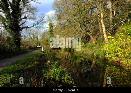 Cromford Canal, Derbyshire, UK. 5. November 2014. Hellen Chili Herbstwetter für Hund Spaziergänger und Wanderer gleichermaßen, entlang des Kanals Cromford. Bildnachweis: IFIMAGE/Alamy Live-Nachrichten Stockfoto