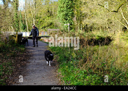 Cromford Canal, Derbyshire, UK. 5. November 2014. Hellen Chili Herbstwetter für Hund Spaziergänger und Wanderer gleichermaßen, entlang des Kanals Cromford. Bildnachweis: IFIMAGE/Alamy Live-Nachrichten Stockfoto