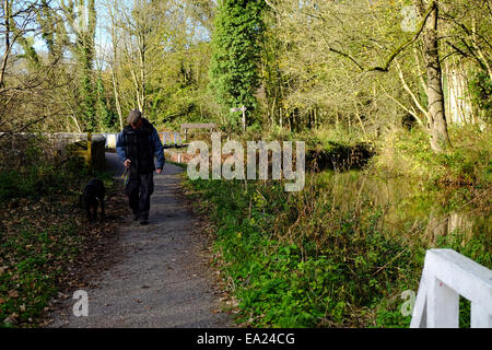 Cromford Canal, Derbyshire, UK. 5. November 2014. Hellen Chili Herbstwetter für Hund Spaziergänger und Wanderer gleichermaßen, entlang des Kanals Cromford. Bildnachweis: IFIMAGE/Alamy Live-Nachrichten Stockfoto