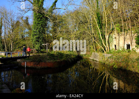 Cromford Canal, Derbyshire, UK. 5. November 2014. Hellen Chili Herbstwetter für Hund Spaziergänger und Wanderer gleichermaßen, entlang des Kanals Cromford. Bildnachweis: IFIMAGE/Alamy Live-Nachrichten Stockfoto