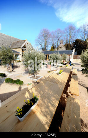 Outdoor-Esstische mit Feder Narzissen in eine Kochschule in Thymian im Southtrop Manor Estate, Gloucestershire UK Stockfoto