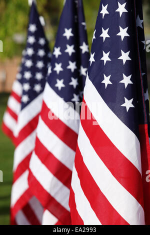 Amerikanische Flaggen auf dem display Stockfoto