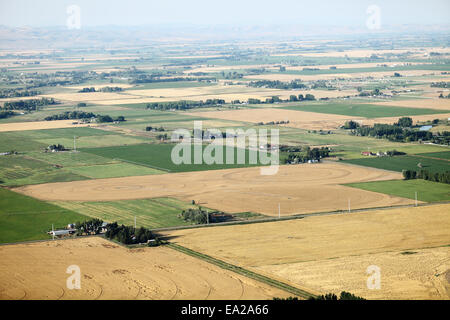 Eine Luftaufnahme von Ackerland und Pivot Sprinklern Bewässerung der Felder. Stockfoto