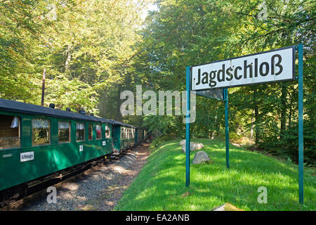 Dampfzug "Rasender Roland" am Bahnhof von Jagdschloss Granitz, Insel Rügen, Mecklenburg-West Pomerania, Deutschland Stockfoto