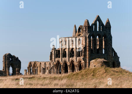 Whitby Abtei North Yorkshire England UK Stockfoto