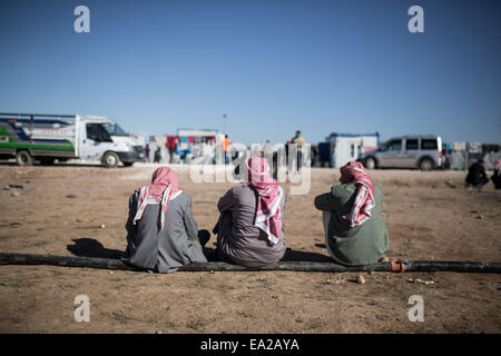 Suruc, Türkei. 5. November 2014. Syrischen kurdischen Flüchtlingen aus Kobane Außenbereich ein Flüchtlingslager in der Stadt Suruc nahe der Türkei-Syrien-Grenze am 5. November 2014. Bildnachweis: Konstantinos Tsakalidis/Alamy Live-Nachrichten Stockfoto