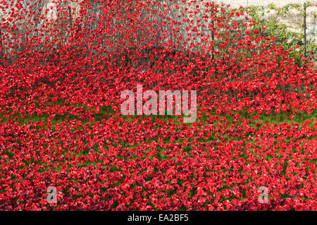 Tower von London Mohnblumen Kunst Ausstellung 2014 Stockfoto