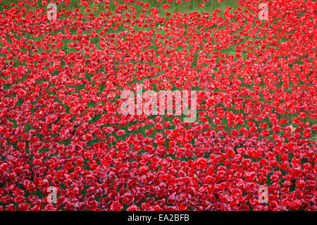 Tower von London Mohnblumen Kunst Ausstellung 2014 Stockfoto