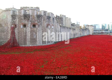 London, UK. 4. November 2014. Mohnblumen im Tower von London, UK-Credit: Paul McCabe/Alamy Live-Nachrichten Stockfoto