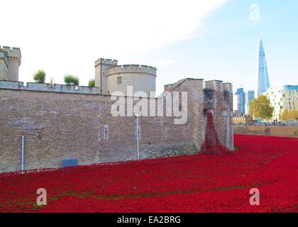 London, UK. 4. November 2014. London jährt sich zum hundertsten des Ausbruchs des ersten Weltkrieges, mit 888.246 Keramik Mohn füllen das Wassergraben des Tower of London. Bildnachweis: Paul McCabe/Alamy Live-Nachrichten Stockfoto