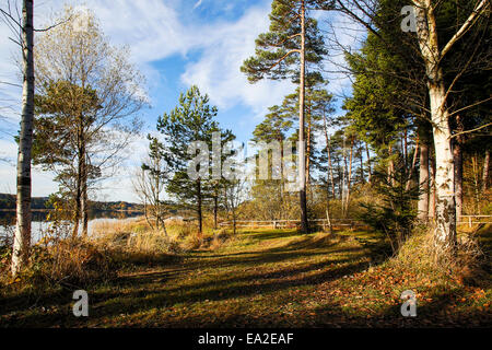 HDR capture von Seen Osterseen in Bayern Stockfoto