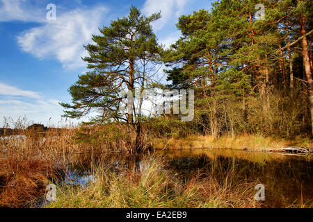 HDR capture von Seen Osterseen in Bayern Stockfoto