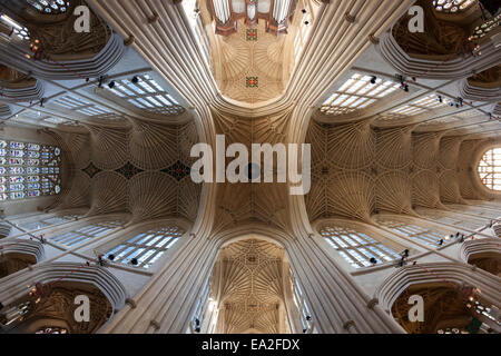 Die schöne und zarte Fan gewölbte Decke des Bath Abbey in Bath, Somerset Stockfoto