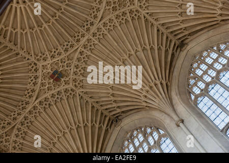 Die schöne und zarte Fan gewölbte Decke des Bath Abbey in Bath, Somerset Stockfoto