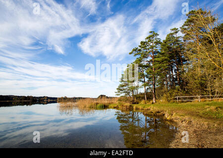 HDR capture von Seen Osterseen in Bayern Stockfoto