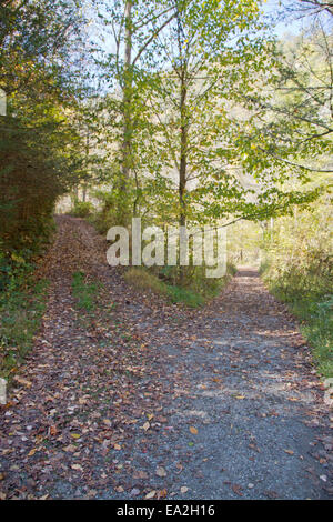 Bewaldeten Pfad bietet zwei Möglichkeiten auf dem Weg zu gehen, eine Landstraße oder eine Low-Straße, in einem unbekannten Schicksal teilt Stockfoto