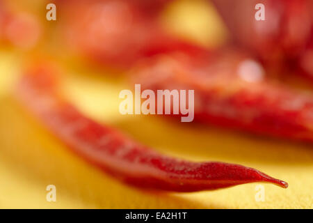 Getrocknete, rote Sichuan chinesische Chilli Stockfoto