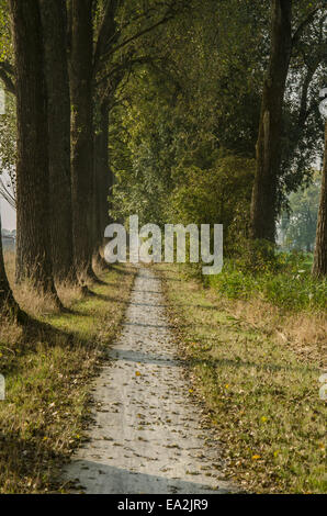 Ein langer Radweg parallelen Kanal im Norden der Niederlande Stockfoto
