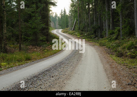 Schotterstraße schlängelt sich durch eine alte und moosigen Nadelwald Stockfoto