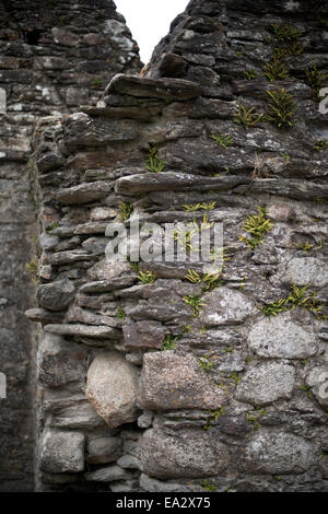 insbesondere der St Kevins Küche Stockfoto