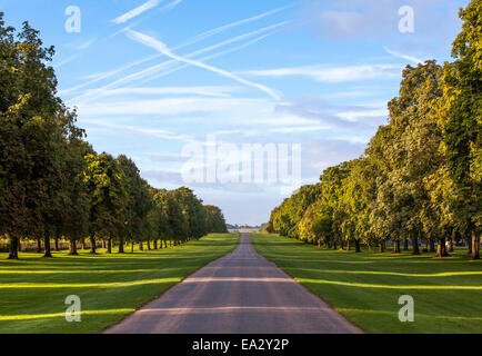 Die langen Spaziergang, Windsor, Berkshire, England, Vereinigtes Königreich, Europa Stockfoto
