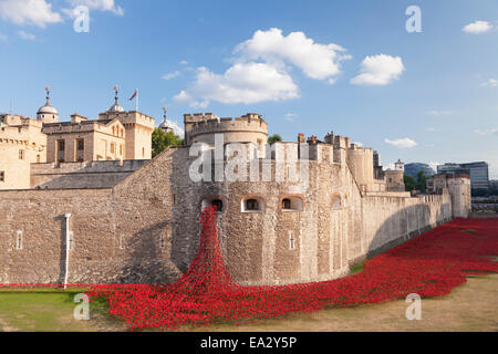 Tower of London, Installation Blut Mehrfrequenzdarstellung Länder und Meere rot, World War I Memorial, City of London, London, England, UK Stockfoto