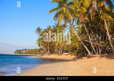 Strand von Las Terrenas, Halbinsel Samaná, Dominikanische Republik, Karibik, Karibik, Mittelamerika Stockfoto