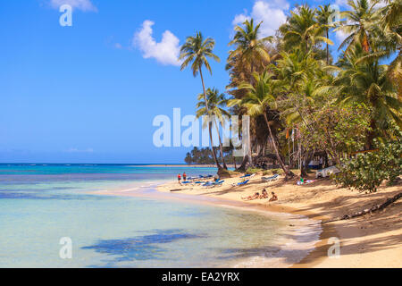 Strand von Las Terrenas, Halbinsel Samaná, Dominikanische Republik, Karibik, Karibik, Mittelamerika Stockfoto