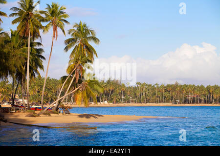 Strand von Las Terrenas, Halbinsel Samaná, Dominikanische Republik, Karibik, Karibik, Mittelamerika Stockfoto