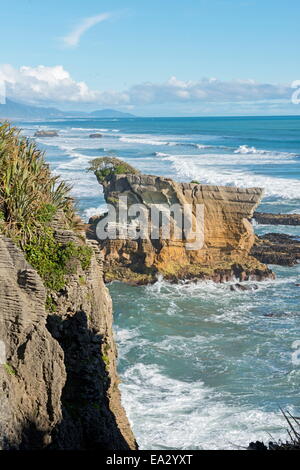 Küste, Punakaiki, Paparoa National Park, West Coast, Südinsel, Neuseeland, Pazifik Stockfoto